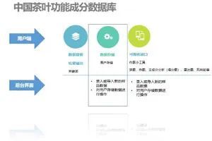 科技賦能云茶產(chǎn)業(yè) 重大專項(xiàng)驅(qū)動(dòng)精深加工與健康研究雙突破